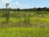 305 Fawn Trail Street - Photo 14