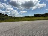 305 Fawn Trail Street - Photo 17