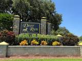 305 Fawn Trail Street - Photo 2