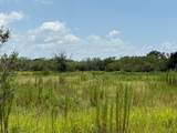 305 Fawn Trail Street - Photo 7