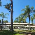 218 Caribbean - Photo 72