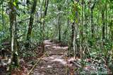 000000 Quintas Berninas - Photo 11