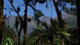 000000 Quintas Berninas - Photo 13