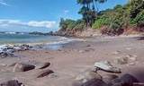 000000 Quintas Berninas - Photo 18