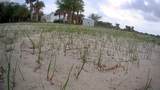 19374 302 - Photo 24