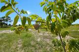 20914 280th Street - Photo 14