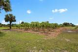 20914 280th Street - Photo 24