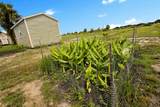 20914 280th Street - Photo 8
