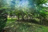 254 Walking Path - Photo 28