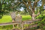 12818 Old Indiantown Road - Photo 51