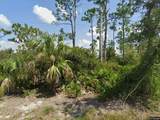 33438 Walnut Drive - Photo 1