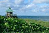 550 Mizner Boulevard - Photo 46