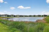 12688 Blue Mangrove Parkway - Photo 3