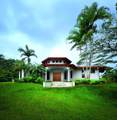 Farm 28 Tropico Verdes - Photo 2
