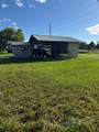 23993 Cardamine Street - Photo 4