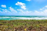 3100 Ocean Boulevard - Photo 28