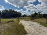 15628 310th Street - Photo 38