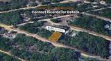 000 Wilson Dr Drive - Photo 6