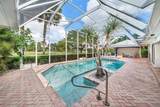 4705 Tree Fern Drive - Photo 41