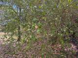 3358 Jog Road - Photo 13
