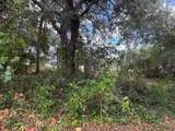 3358 Jog Road - Photo 7