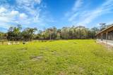 3901 Wild Turkey Trail Trail - Photo 34