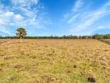 3901 Wild Turkey Trail Trail - Photo 36