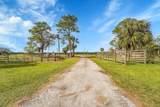 3901 Wild Turkey Trail Trail - Photo 39