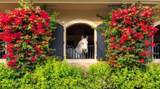 14911 Equestrian Way - Photo 3