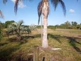 4500 Boatramp Avenue - Photo 80