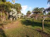 4500 Boatramp Avenue - Photo 81