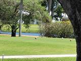 300 Golfview Terrace - Photo 17