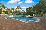 355 Thatch Palm Circle - Photo 71
