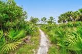 355 Thatch Palm Circle - Photo 80