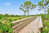 355 Thatch Palm Circle - Photo 81