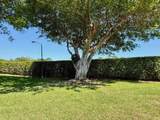 5317 Fig Palm Way - Photo 35