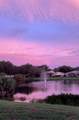 9572 Crescent View Dr Drive - Photo 3