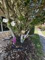 8306 Horseshoe Bay Road - Photo 24
