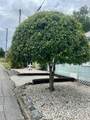 208 Avenue E - Photo 10