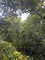 303 Delaware Boulevard - Photo 40