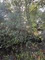 303 Delaware Boulevard - Photo 48