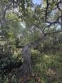 303 Delaware Boulevard - Photo 49
