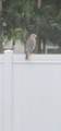 722 Arton Lane - Photo 47