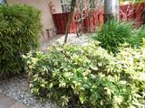 7320 Lake Circle Drive - Photo 31