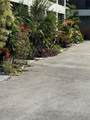 2452 Taylor Street - Photo 1