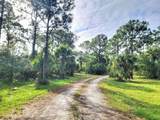 15350 93rd Street - Photo 14