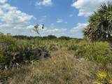0 306th Street - Photo 1