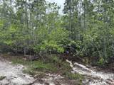 0 Holopaw Groves Road - Photo 1