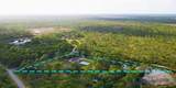 6885 Orchid Tree Drive - Photo 1