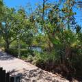 138 Mangrove Bay Way - Photo 36